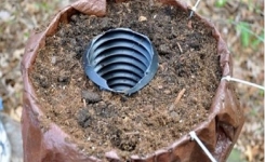 Il enterre un tube en plastique dans le pot: voici donc une brillante idée avoir des plantes luxuriantes