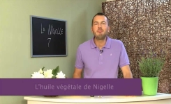 L’huile de nigelle : comment bien la choisir et bien l’utiliser !