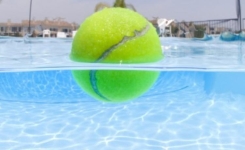 Pourquoi Mettre Une Balle De Tennis Dans L’Eau De La Piscine !