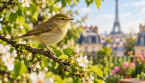 Ce petit oiseau au plumage olive traverse nos jardins en septembre : voici comment favoriser sa présence