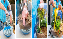 Comment faire un terrarium facilement chez vous