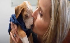 Elle récupère le chiot qui a été jeté dans les ordures. Il aura tout l’amour qu’il mérite !