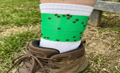Tiques au jardin : l’astuce du ruban autour des chevilles