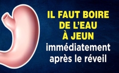 Pourquoi il faut boire de l’eau sur un estomac vide immédiatement après le réveil