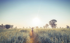 20 minutes par jour dans la nature réduiraient les hormones du stress