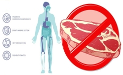 4 choses incroyables qui se produisent lorsque vous arrêtez de manger de la viande 