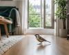 Un oiseau est entré chez vous ? Voici ce que cela peut signifier