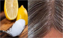 Mélange d’huile de coco et de jus de citron : Pour que vos cheveux gris retrouvent leur couleur habituelle ! 