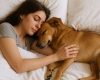 Les personnes qui dorment avec leurs animaux de compagnie ont ces 4 caractéristiques selon les psychologues
