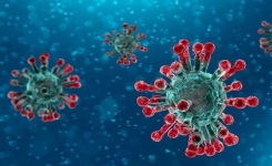 Infection à coronavirus : Symptômes et traitement