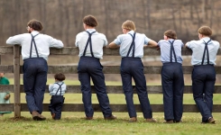 Les Amish, qui ne se font pas vacciner, souffrent rarement d’autisme, de cancer ou de maladie cardiaque. Pourquoi donc ?