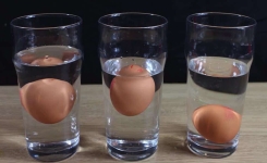 4 façons de reconnaître si un œuf est frais ou pourri