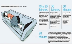 Faire une sieste peut augmenter considérablement l’apprentissage, la mémoire et la conscience