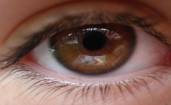 Les secrets sur les personnes aux yeux bruns, qu'elles-mêmes ignorent