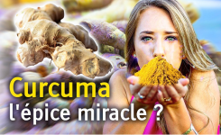 Curcuma, aliment ou poudre aux yeux ?