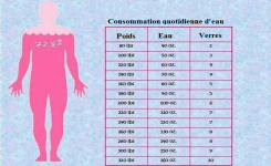 Quelle quantité d’eau devons-nous boire selon notre poids ?