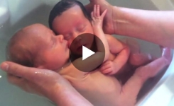 Des jumeaux nouveau-nés s'accrochent l'un à l'autre comme s'ils étaient encore dans le ventre de leur mère