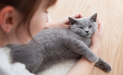 Elle découvre son cancer... grâce à son chat