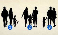 Test psychologique : Selon vous, lequel d’entre ces 3 groupes ne forme pas une famille ?