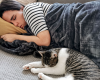 Pourquoi certains chats dorment dans le lit de leur humain