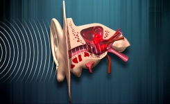 Attention danger : Une oreille de 90 ans à seulement 40 ans