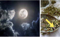 Pleine Lune : 2 rituels à pratiquer de toute urgence !