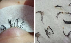 Une professionnelle de la beauté lance un appel au sujet des extensions de cils !