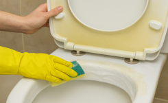 Comment blanchir un siège de toilette jauni par le temps !