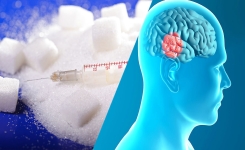 Le sucre, une drogue aussi addictive que l’héroïne ?