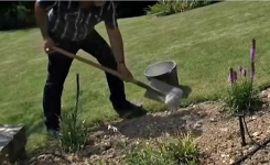 Il met des cendres dans son jardin… Une Astuce Géniale !