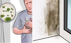 Voici 10 signes que vous souffrez des effets de la moisissure, et ce que vous devriez savoir 