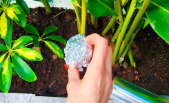 5 astuces insolites pour utiliser le papier aluminium au jardin !