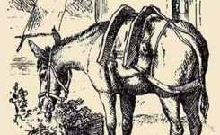 Il n’y a pas qu’un cheval sur cette image : Seuls les gros QI trouvent le visage du cavalier caché en 15 secondes !