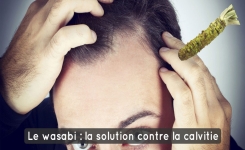 Le wasabi, nouveau remède miracle contre la calvitie ?