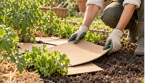 Mettre du carton sur la terre du jardin : à quoi ça sert et comment bien l’utiliser