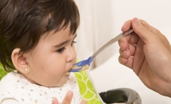 La diversification alimentaire et l’apprentissage du goût chez bébé