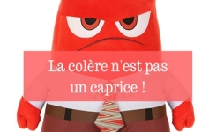  La colère n'est pas un caprice !