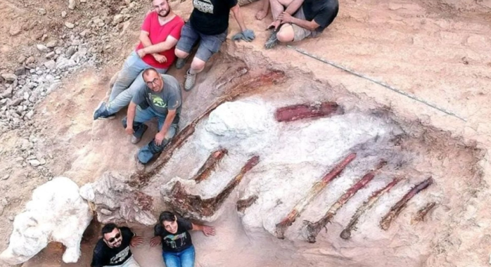 squelette dinosaure dans son jardin