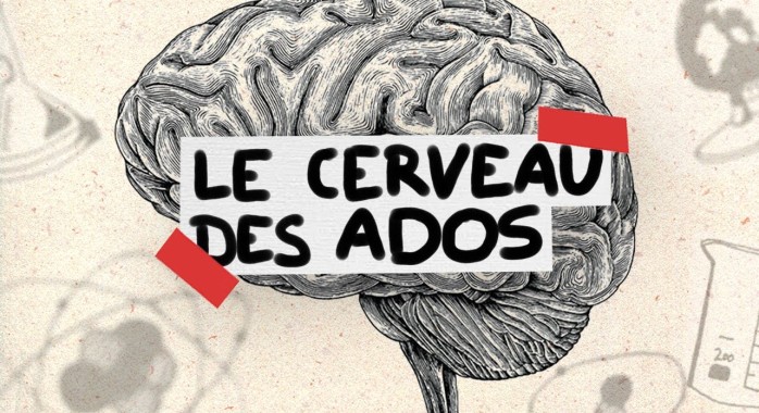  le cerveau de l’adolescent 