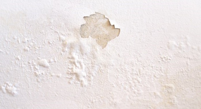 Comment réparer des murs moisis ou écaillés rapidement