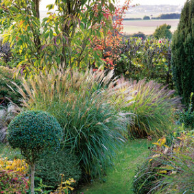 Profiter de la vue derrière le jardin<br />F. Marre - Rustica - Le petit clos Profiter de la vue derrière le jardin<br />F. Marre - Rustica - Le petit clos
