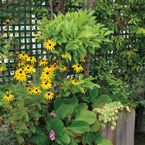 Ouvrir le jardin<br />E. Brenckle - Rustica - Création Hugues Peuvergne Ouvrir le jardin<br />E. Brenckle - Rustica - Création Hugues Peuvergne