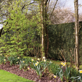 Des antibruits au jardin<br />F. Boucourt - Rustica – Jardin de Castillon-Plantbessin Des antibruits au jardin<br />F. Boucourt - Rustica – Jardin de Castillon-Plantbessin