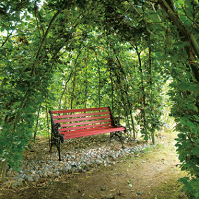 Petits coins intimes au jardin<br />L. Hégo - Rustica – Jardin de Ly Petits coins intimes au jardin<br />L. Hégo - Rustica – Jardin de Ly