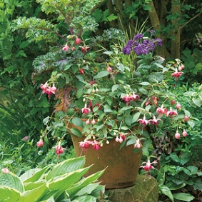 Profiter de l'ombre au jardin<br />L. Hégo - Rustica Profiter de l'ombre au jardin<br />L. Hégo - Rustica