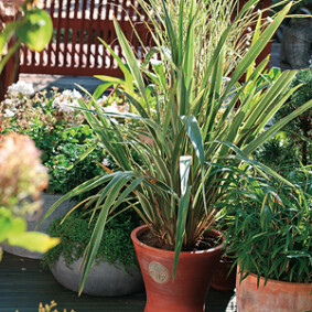 Les avantages climatiques d'un jardin<br />F. Boucourt - Rustica Les avantages climatiques d'un jardin<br />F. Boucourt - Rustica