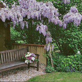 Se protéger des regards extérieurs au jardin<br />F. Marre - Rustica Se protéger des regards extérieurs au jardin<br />F. Marre - Rustica