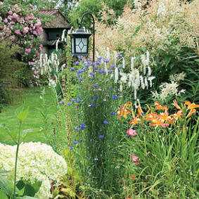 Eclairer le jardin - F. Marre - Rustica - Le petit clos Eclairer le jardin - F. Marre - Rustica - Le petit clos