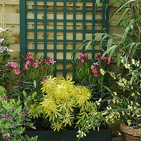 Organiser la succession des floraisons au jardin<br />F. Marre - Rustica Organiser la succession des floraisons au jardin<br />F. Marre - Rustica
