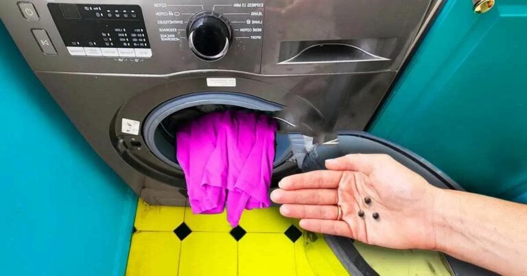 Gardez Vos Vêtements Colorés Éclatants avec Cette Astuce au Poivre »